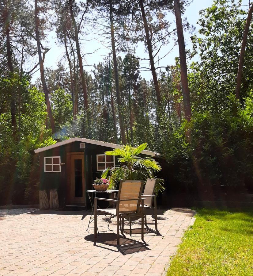Villa Secret Wellness Boszicht Holten Exterior foto