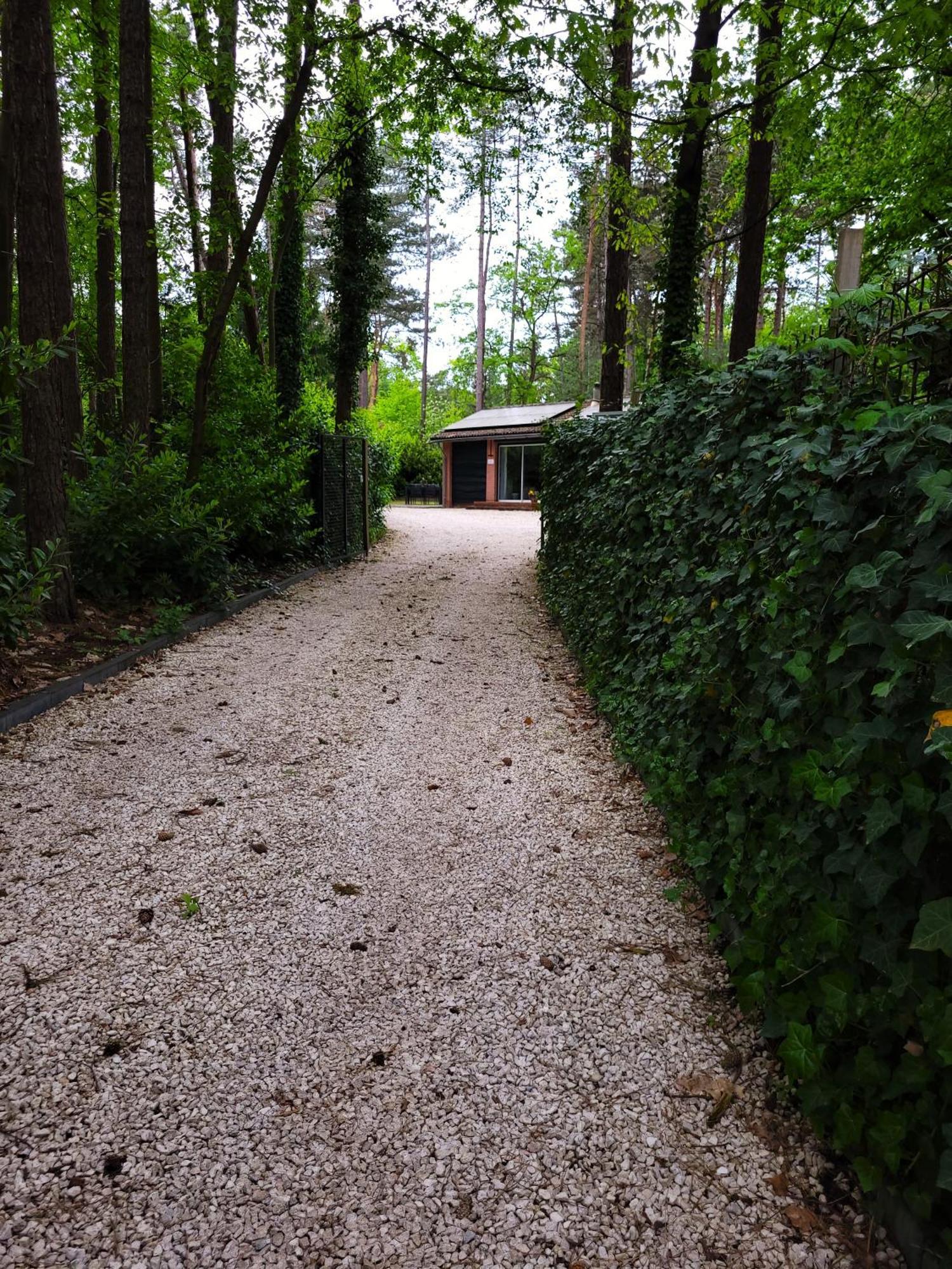 Villa Secret Wellness Boszicht Holten Exterior foto